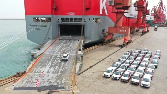 Serviço profissional de transporte marítimo RORO da China para a Malásia