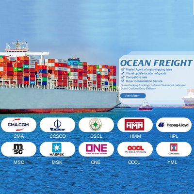 Agente profissional de transporte marítimo de mercadorias de contentores da China para a Turquia