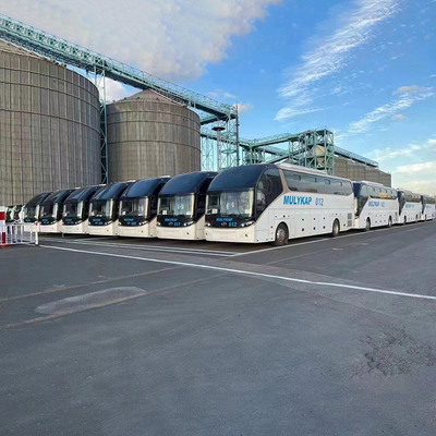 Container RORO Global Shipping Services da Shenzhen Logistics Company